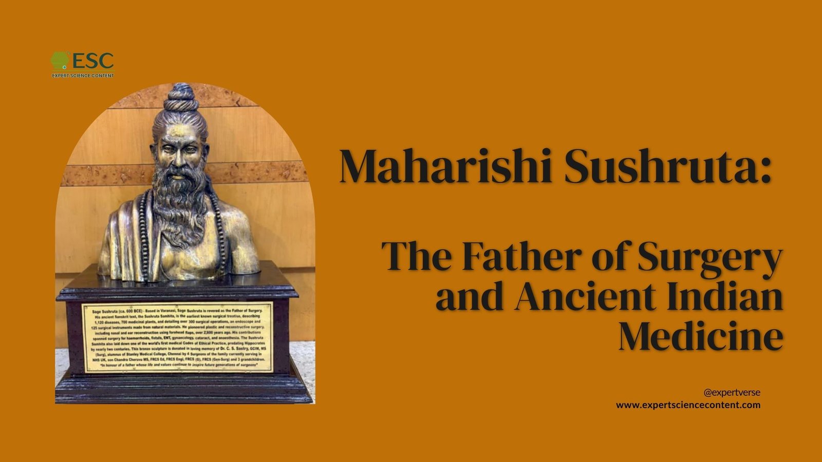 Maharishi Sushruta, father of surgery